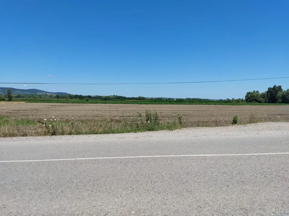 SAKARYA SÖĞÜTLÜ AKÇAKAMIŞ YOLU ÜZERİ 8000 M2 ARAZİ
