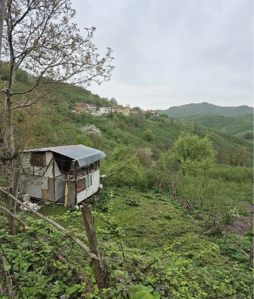 DÜZCE ÇİLİMLİ KIRKHARMAN KÖYİÇİ KONUT İMARLI FINDIKLIK