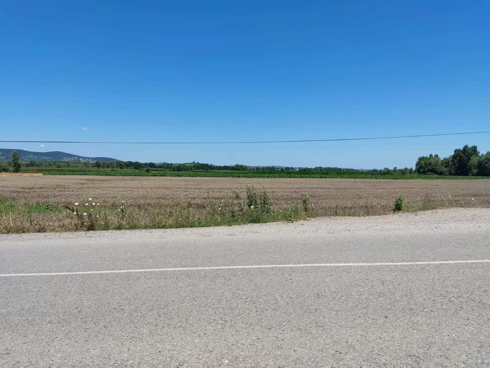 SAKARYA SÖĞÜTLÜ AKÇAKAMIŞ YOLU ÜZERİ 8000 M2 ARAZİ